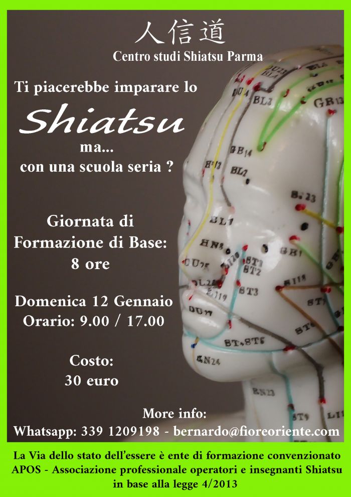 Shiatsu di base <P>- I miei primi passi -