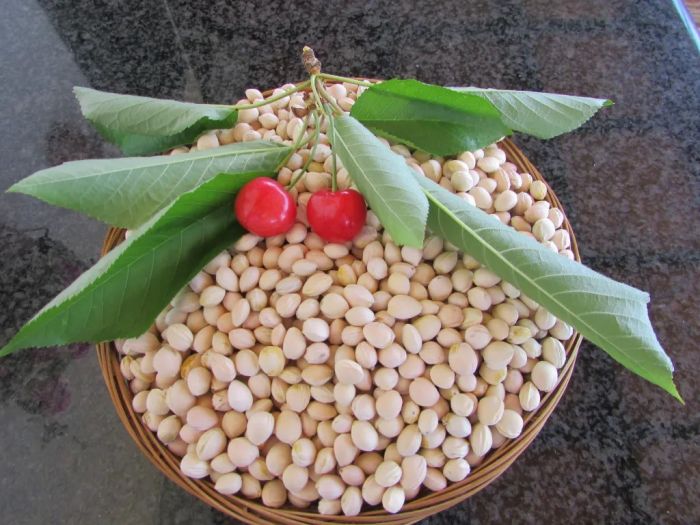 cuscino per il collo in noccioli di ciliegia